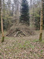 Waldputzete